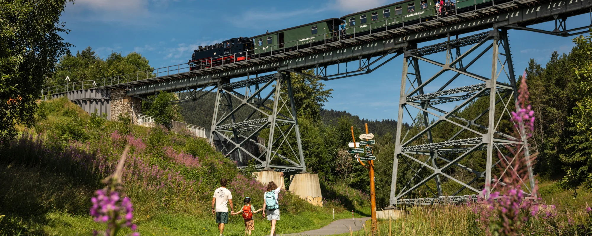 Dampfzug der Fichtelbergbahn in Kurort Oberwiesenthal