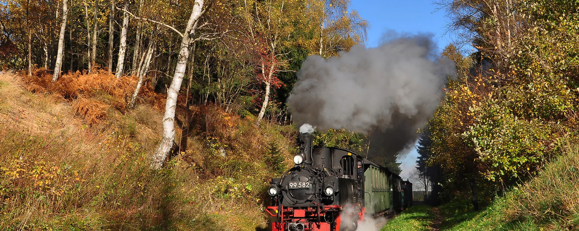 museumsbahn_schoenheide_banner_bahn_3_3.jpg